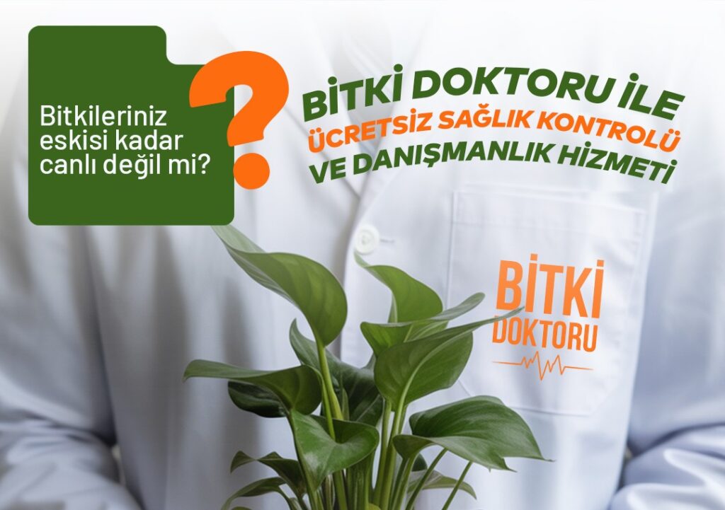 İBB Bitki Doktoru