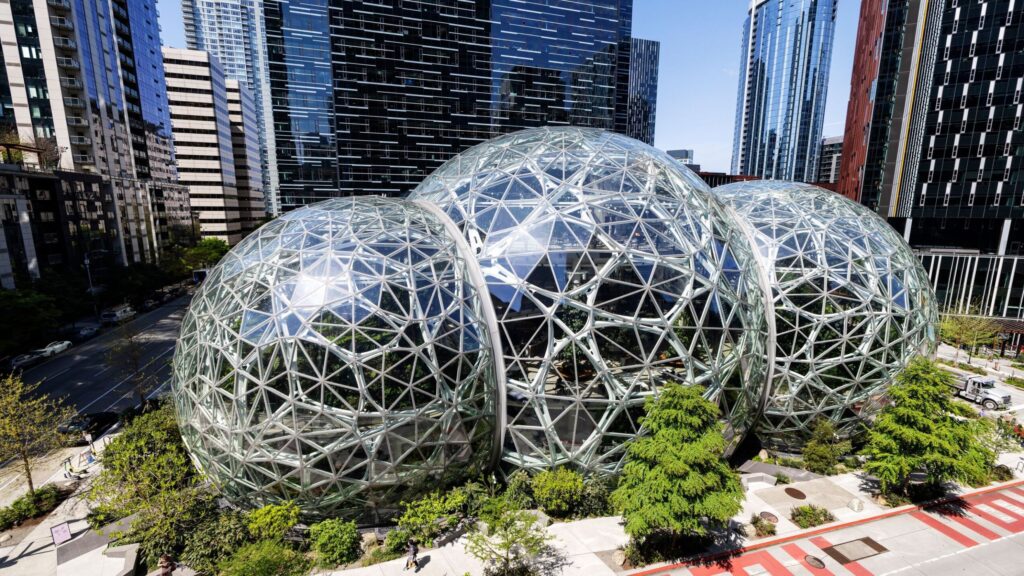 Amazon Karbon Kredisi