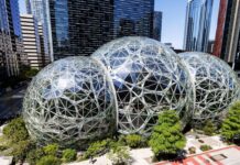 Amazon Karbon Kredisi Satışına Başladı Amazon Karbon Kredisi