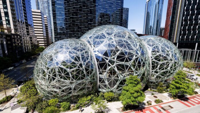Amazon Karbon Kredisi